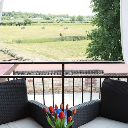 Porec Villa Luna With Pool ภายนอก รูปภาพ